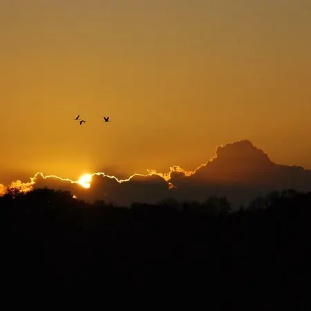 Arkonablick 53 * Juliusruh